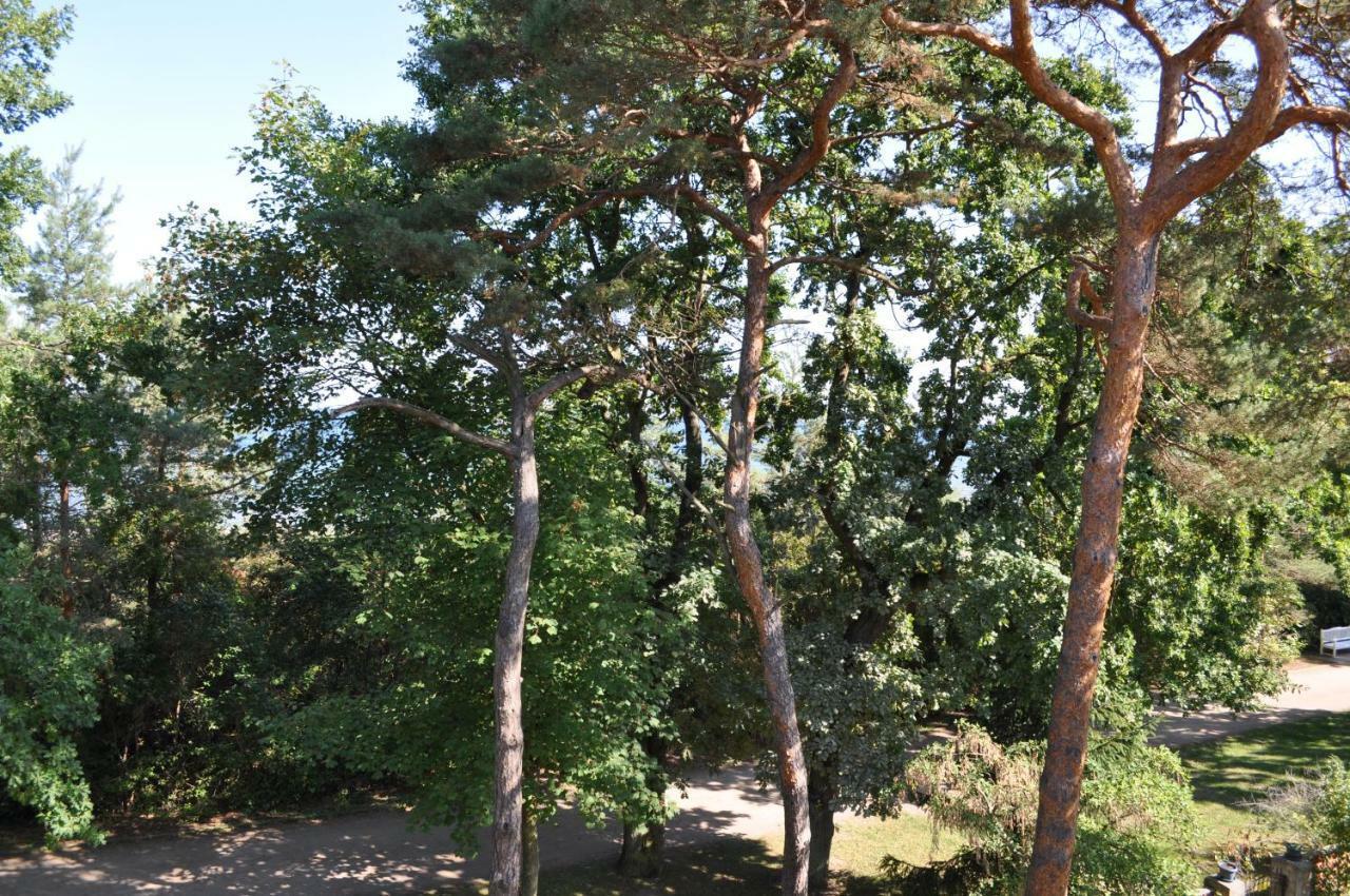 Strandvilla Waldhaus Apartamento Boltenhagen (Ostseebad)